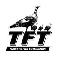 Turkeys For Tomorrow